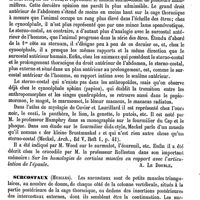 0519 - Page 515 - Surcostal antérieur [A. Le Double] / Surcostaux (Muscles) [A. Le Double]