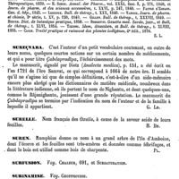 0579 - Page 575 - Sureau. Applications thérapeutiques [Ernest Labbée] (bibliographie) / Sureçvara [G. Liétard] / Surelle [H. Baillon] / Suren [G. Planchon] / Surfusion. Voy. Chaleur et Sursaturation / Surinamine. Voy. Geoffroyine / Suringar (Gerherd-Conrad-Bernhard) [L. Hahn]