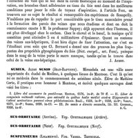 0628 - Page 624 - Sus-hépatique (Veine) [J. Aubry] / Susius, Alias Susio (Jean-Baptiste) [A. Chéreau] (bibliographie) / Sus-orbitaire (Artère). Voy. Ophthalmique (Artère) / Sus-orbitaire (Nerf). Voy. Ophthalmique (Nerf) / Sus-scapulaires (Artères). Voy scapulaires / Suspenseurs (Ligaments). Voy. Vessie, Testicule / Suspension. Voy. Pendaison / Suspension (Appareil de). Voy. Fractures et Hyponarthécie / Suspensoirs [J. Aubry]
