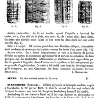 0638 - Page 634 - Suture (Chirurgie) [Amédée Dechambre] / Suyer [Amédée Dechambre] / Svedenborg (Emmanuel) [L. Hahn]