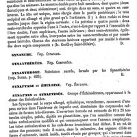 0166 - Page 162 - Symptose [Amédée Dechambre] / Synadelphes [Amédée Dechambre] Synanche. Voy. Cynanche / Synanthérées. Voy. Composées / Synanthrose [Amédée Dechambre] / Synaptase ou Émulsine. Voy. Émulsine / Synaptes ou Synaptidés [Ed. Lefèvre]