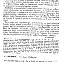 0193 - Page 189 - Syndactyles [E. Oustalet] (bibliographie) / Syndactylie. Voy. Doigts (Pathologie) / Syndicats médicaux [Amédée Dechambre]