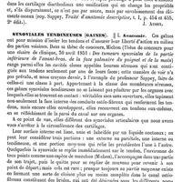 0211 - Page 207 - Synoviales (Membranes). Pathologie [J. Aubry] / Synoviales tendineuses (Gaines) [J. Aubry]