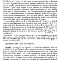 0078 - Page 74 - Addenda / Saïga [E. Oustalet] (bibliographie) / Sainte-Hélène. Voy. Hélène (Sainte-) / Salpes [E. Oustalet]