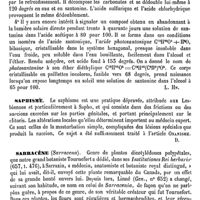 0082 - Page 78 - Addenda. Santonine [L. Hahn] / Saphismé [Amédée Dechambre] / Sarracène [H. Baillon]