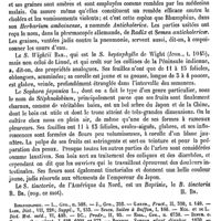 0230 - Page 226 - Addenda / Sophora [H. Baillon] (bibliographie) / Sper (F.) [L. Hahn]