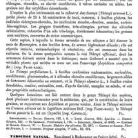 0475 - Page 471 - Tabouret [G. Planchon] (bibliographie) / Tabourou navgal [G. Planchon] / Tabourou-nibi [G. Planchon] / Tabrouba [G. Planchon] / Tac. Voy. Horion