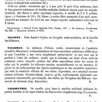 0660 - Page 656 - Taliacotius. Voy. Tagliacozzi / Tali-Ayer [G. Planchon] (bibliographie) / Talinum [G. Planchon] / Talipot [G. Planchon] / Talisman [Amédée Dechambre] / Talisputrie [Amédée Dechambre] / Talissi [G. Planchon] / Talona [G. Planchon] / Talo odalei [G. Planchon]
