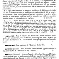 0728 - Page 724 - Tanrec [E. Oustalet] (bibliographie) / Tan-rouge [G. Planchon] / Tan-roujou [G. Planchon] / Tantale (Chimie) [Amédée Dechambre] / Tantale (Zoologie) [E. Oustalet]