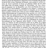 0734 - Page 730 - Tapioka / Bromatologie [Amédée Dechambre] / Tapir [E. Oustalet]