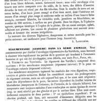 0186 - Page 182 - Tégénaire [A. Laboulbène] / Tégumentaire (système) dans la série animale [G. Carlet]