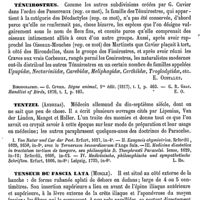 0399 - Page 395 - Tenore (Cavaliere Michele) [L. Hahn] (bibliographie) / Ténotomie. Voy. Tendon / Ténuirostres [E. Oustalet] / Tentzel (Andreas) [L. Hahn] / Tenseur du fascia lata (Muscle) [J. Aubry]