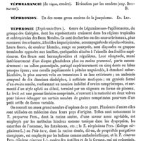 0400 - Page 396 - Téori [Ed. Lefèvre] / Tépache [Amédée Dechambre] / Tépali [Ed. Lefèvre] / Téphramancie [Amédée Dechambre] / Téphronion [Ed. Lefèvre] / Téphrosie [Ed. Lefèvre]