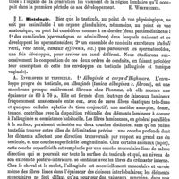 0545 - Page 541 - Testicule. Anatomie descriptive [E. Wertheimer] / Histologie [F. Tourneux, G. Herrmann]