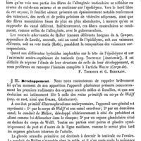 0560 - Page 556 - Testicule. Histologie [F. Tourneux, G. Herrmann] / Développement [F. Tourneux, G. Herrmann]