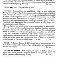 0060 - Page 56 - Tête de clou [Ed. Lefèvre] / Tête cornue ou Cornuet [Ed. Lefèvre] / Tête de Méduse [Ed. Lefèvre] / Tête de mort [Ed. Lefèvre] / Têtes plates. Voy. Amérique / Téthys [Ed. Lefèvre] / Tétié [Ed. Lefèvre] / Tétine de souris [Ed. Lefèvre] / Tétine de vache. Voy. Biberon / Tétra- (ou Tétr-) [L. Hahn]