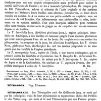 0064 - Page 60 - Tetranthera (Jacq.) [H. Baillon] (bibliographie) / Tétraodon. Voy. Tétrodon / Tétraogalle [E. Oustalet]
