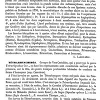 0069 - Page 65 - Tétraphylline. Voy. Triphylline / Tétrapogon [Ed. Lefèvre] / Tétraptères (Insectes) [A. Laboulbène] / Tétrarhynchidés [Ed. Lefèvre] / Tétras [E. Oustalet]