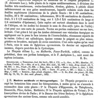 0095 - Page 91 - Thapsia (T.). Botanique [H. Baillon] (bibliographie) / Matière médicale et thérapeutique [Ed. Heckel]