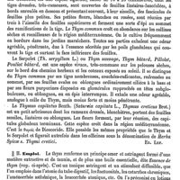 0417 - Page 413 - Thym. Botanique [Ed. Lefèvre] / Emploi [L. Hahn]