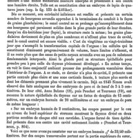 0425 - Page 421 - Thymus. Anatomie [G. Herrmann, F. Tourneux] / Évolution histologique du thymus [G. Herrmann, F. Tourneux]