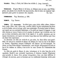 0526 - Page 522 - Thysselinum [Ed. Lefèvre] / Ti ou Tii [Ed. Lefèvre] / Tiaili [Ed. Lefèvre] / Tibalau [Ed. Lefèvre] / Tibbones. Voy. Berbères / Tibet. Voy. Thibet / Tibia / Anatomie [Albert Heydenreich]