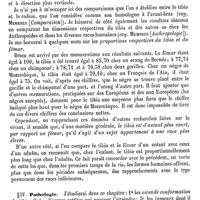 0534 - Page 530 - Tibia. Anatomie comparée [Albert Heydenreich] / Pathologie [Albert Heydenreich]