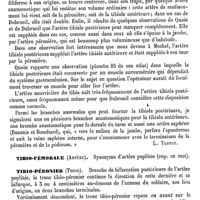 0558 - Page 554 - Tibiale postérieure (Artère) [L. Testut] / Tibio-fémorale (Artère). Voy. Poplitée / Tibio-péronier (Tronc) [L. Testut]