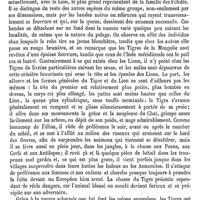 0596 - Page 592 - Tiglique (Acide) [Edme Bourgoin] / Tigre [E. Oustalet]
