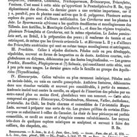 0599 - Page 595 - Tiliacées [H. Baillon] (bibliographie) / Tiling (Les deux) [L. Hahn]