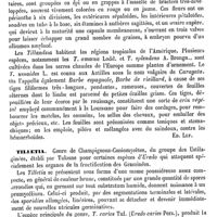 0600 - Page 596 - Tiling (Les deux) [L. Hahn] / Tillandsia [Ed. Lefèvre] / Tilletia [Ed. Lefèvre]
