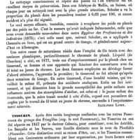 0614 - Page 610 - Tisserands [Alexandre Layet] / Tisserin [E. Oustalet]