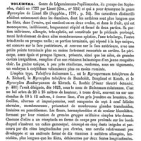 0623 - Page 619 - Toluène [Edme Bourgoin] / Toluifera [Ed. Lefèvre]