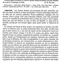 0701 - Page 697 - Tortrix [H.-E. Sauvage] (bibliographie) / Tortues [H.-E. Sauvage]