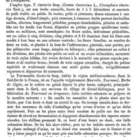 0714 - Page 710 - Tournesol [Ed. Lefèvre] / Tournesolia [Ed. Lefèvre]