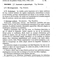 0779 - Page 775 - Tozzi (Luca) [L. Hahn] / Trachée / Anatomie et physiologie. Voy. Bronches / Développement. Voy. Poumons / Pathologie [Clermont]