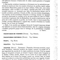 0039 - Page 35 - Transverse de la nuque (Muscle) [L. Testut] / Transverse du périnée (Muscle). Voy. Périnée / Transverso-uréthral (Muscle). Voy. Urèthre / Trapa. Voy. Macre / Trapées. Voy. Onagrariées / Trapèze (Muscle) [L. Testut]