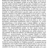 0058 - Page 54 - Trébuchet (Adolphe) [L. Hahn] / Trèfle [H. Baillon]