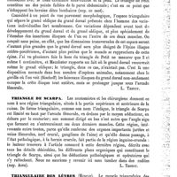 0095 - Page 91 - Triangle de Petit [L. Testut] / Triangle de Scarpa [L. Testut] / Triangulaire des lèvres (Muscle) [L. Testut]