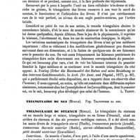 0096 - Page 92 - Triangulaire des lèvres (Muscle) [L. Testut] / Triangulaire du nez (Muscle). Voy. Transverse du nez / Triangulaire du sternum (Muscle) [L. Testut]