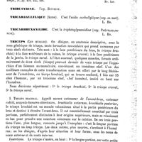 0101 - Page 97 - Tribulus [Ed. Lefèvre] (bibliographie) / Tributyrine. Voy. Butyrine / Tricarballylique (Acide) [L. Hahn] / Tricarbhexanilide [L. Hahn] / Triceps (Les muscles) [L. Testut]