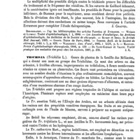 0116 - Page 112 - Trichiasis [J. Chauvel] (bibliographie) / Trichilla [Ed. Lefèvre]