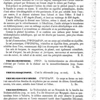 0175 - Page 171 - Trichloracétique (Acide). Voy. Chloracétique / Trichlorhydrine. Voy. Chlorhydrine / Thichlorophénol [Edme Bourgoin] / Trichlorobenzine [L. Hahn] / Trichloroquinone [L. Hahn] / Trichlorostrychnine [L. Hahn] / Trichocéphale [Raphaël Blanchard]