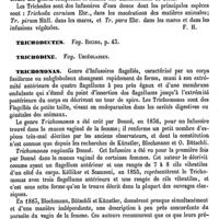 0184 - Page 180 - Trichode [F. Henneguy] / Trichodectes. Voy. Ricins / Trichodine. Voy. Urcéolaires / Trichomonas [F. Henneguy]