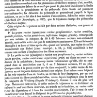 0216 - Page 212 - Trihydrocarboxylique [L. Hahn] / Trijumeau (Nerf) / Anatomie [L. Testut]