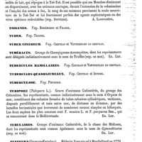 0313 - Page 309 - Tsé-tsé [A. Laboulbène] / Tsiganes. Voy. Bohémiens et France / Tuber. Voy. Truffe / Tuber cinereum. Voy. Cerveau et Ventricules du cerveau / Tubéracés [Ed. Lefèvre] / Tubercules mamillaires. Voy. Cerveau et Ventricules du cerveau / Tubercules quadrijumeaux. Voy. Cerveau et Isthme / Tuberculose. Voy. Phthisie / Tubipore [Ed. Lefèvre] / Tubulaires [Ed. Lefèvre] / Tuefferd (Georges-Fredéric) [L. Hahn]