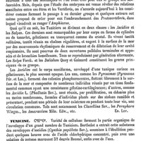 0400 - Page 396 - Tuniciers [Ed. Lefèvre] / Tunicine [L. Hahn]