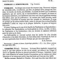 0424 - Page 420 - Typha. Emploi thérapeutique [Charles Éloy] / Typhacées. Voy. Typha [H. Baillon] / Typhinum [H. Baillon] / Typhlite et Pérityphlite. Voy. Intestin / Typhlops [H.-E. Sauvage] (bibliographie) / Typhoïde (Fièvre) [Jules Arnould, Lemoine]