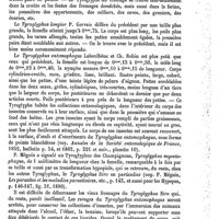 0629 - Page 625 - Tyroglyphe [A. Laboulbène] / Tyroleucine [L. Hahn]