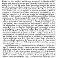 0053 - Page 49 - Ulmus. Voy. Orme / Ulorobes. Voy. Araignée / Ulothrix [Édouard Heckel]